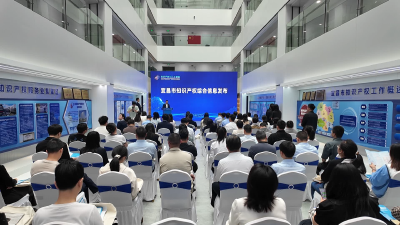 2025年宜昌知识产权宣传周主题活动举行 截止2024年底全市每万人口发明专利拥有量21.15件