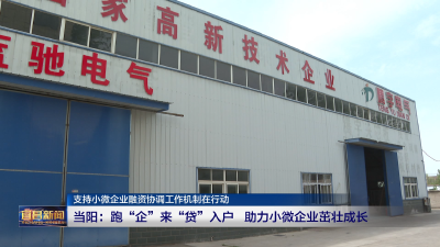 支持小微企业融资协调工作机制在行动 当阳：跑“企”来  “贷”入户  助力小微企业茁壮成长