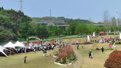 柏临河湿地公园杜鹃花微花展开展 