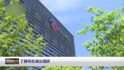 丁薛祥在湖北调研