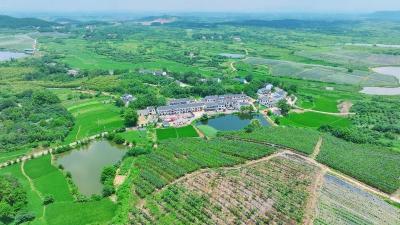 奏响乡村振兴的春日和弦——“全国文明村”安陆赵棚镇团山村农文旅融合发展见闻