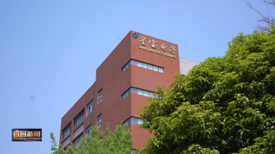培育“四上”企业  做强市场主体 破产重整再获新生 星宝电子成功逆袭