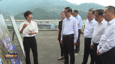 陈红辉调研三峡翻坝转运体系工作时强调 全力推动重点项目建设提速增效
