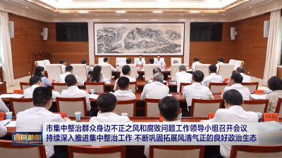市集中整治群众身边不正之风和腐败问题工作领导小组召开会议