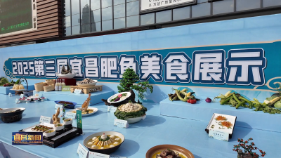 第三届宜昌肥鱼美食嘉年华昨天开幕 人机比拼厨艺 美味实力圈粉