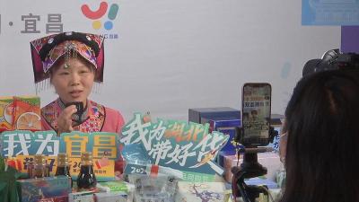 宜昌出台支持电商发展10条措施 10万元奖励市级直播电商基地  