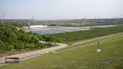 长江珍稀特有鱼类铜鱼实现规模化繁育和养殖