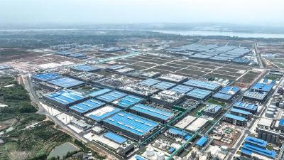 实现用工和就业“双向奔赴” 东部产业新区核心区首个就业服务站投用  