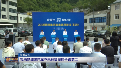 熊征宇陈红辉与长江电力党委书记何红心座谈 发挥电的优势提升绿的含量 共创企地合作新辉煌.mp4