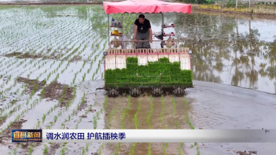 调水润农田 护航插秧季