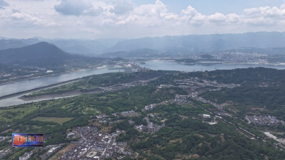 我们的节日·端午 许家冲村：艾草飘香促增收