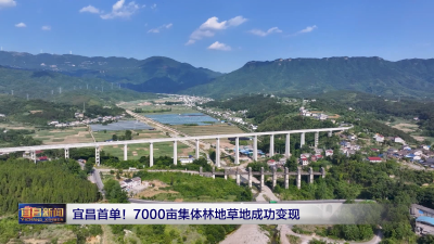 宜昌首单！7000亩集体林地草地成功变现