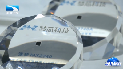 看支点·创新策源力 | 一粒“金种子”的生长  