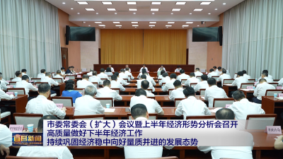 市委常委会（扩大）会议暨上半年经济形势分析会召开 高质量做好下半年经济工作 持续巩固经济稳中向好量质并进的发展态势