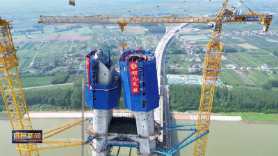 聚焦“四个重大”  推动高质量发展 枝江长江大桥南岸主塔顺利封顶