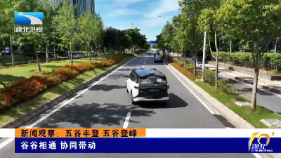 “五谷丰登”看武汉