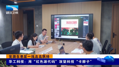 党旗在基层一线高高飘扬丨华工科技：用“红色源代码”攻坚科技“卡脖子”  