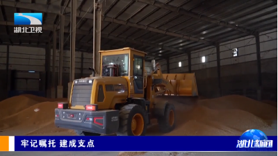 牢记嘱托 建成支点 | “画像”替代抵押 湖北“两农”信用贷累计放款3.85亿  