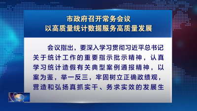市政府召开常务会议 以高质量统计数据服务高质量发展