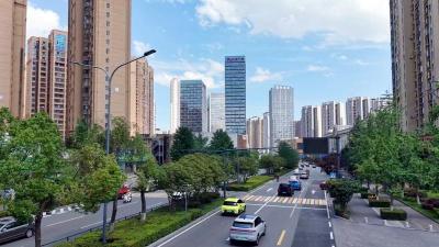 有凤来宜绘新景 ——宜昌“归雁经济”汇聚发展新动能  