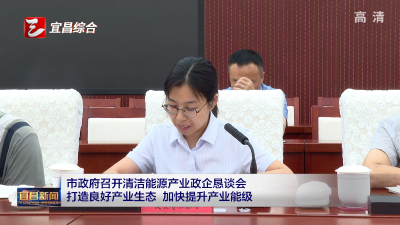 市政府召开清洁能源产业政企恳谈会  打造良好产业生态 加快提升产业能级