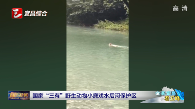 国家“三有”野生动物小麂戏水后河保护区