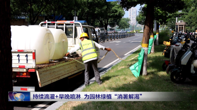 持续滴灌+早晚喷淋 为园林绿植“消暑解渴”