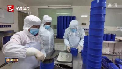 鲟鱼何以“游”出好产业？