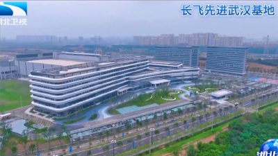 看支点·战略支撑力 | 活力湖北的能级跨越  