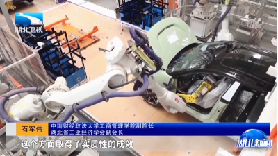 湖北向上·半年经济观察 | 专家观点：需求带动跨越式增长  