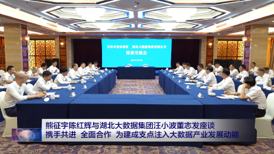 熊征宇陈红辉与湖北大数据集团汪小波董志发座谈 携手共进 全面合作 为建成支点注入大数据产业发展动能