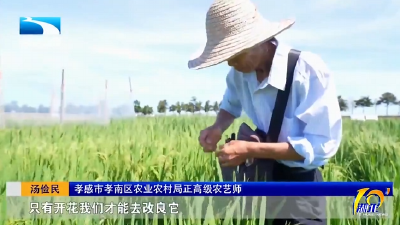 党旗在基层一线高高飘扬 | 汤俭民：“泥腿子”专家的“金种子”传奇  