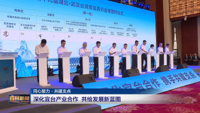 深化宜台产业合作 共绘发展新蓝图