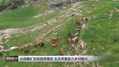 从规模扩张到提质增效 生态养畜助力乡村振兴