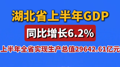 湖北省上半年GDP同比增长6.2%  