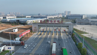 实施电子审单 实现即报即放 宜昌出口果蔬汁等饮料同比增长497%  