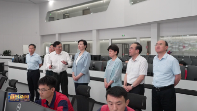王艳玲来宜调研科技创新与产业创新融合发展