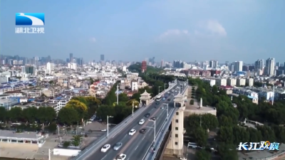 湖北向上·半年经济观察 | 6.5%增长背后的“天时地利人和”  