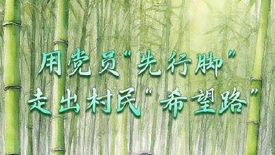 闵洪艳：用党员 “先行脚” 走出村民 “希望路”  