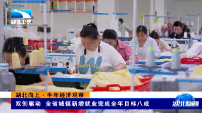 长江观察·湖北向上·半年经济观察 | 双创驱动 全省城镇新增就业完成全年目标八成  