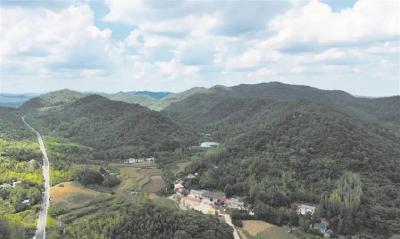 边区“小延安”的血火记忆与时代新生——寻访湖北荆门京山市中共豫鄂边区委员会旧址  