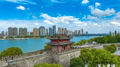 这片绿叶子比什么都珍贵 ——“两山”理念的襄阳“两河”实践  