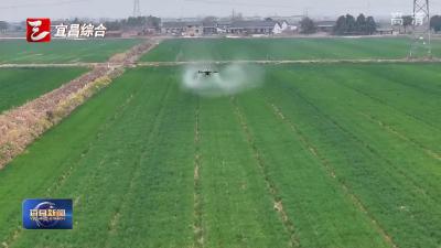 市政府召开水利、农业、畜牧重点项目推进会 锚定目标抓进度 节点管理再提速