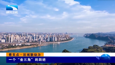 “金三角”！湖北这步棋下活了  