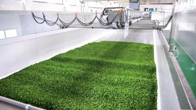 活力中国调研行｜宜昌：茶的“∞”  