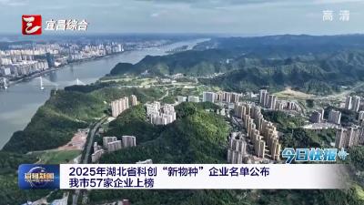 今日快报