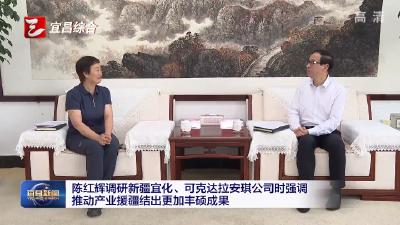 陈红辉调研新疆宜化、可克达拉安琪公司时强调 推动产业援疆结出更加丰硕成果