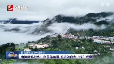宜昌避暑胜地一线探访 夷陵区邓村乡：名茶伴美景 茶旅融合点“绿”成金