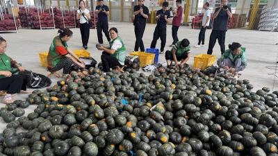 活力中国调研行|首衡城里的“就业密码”——3.7万人在这里把日子过成了“热乎饭”  