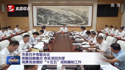 市委召开专题会议 把握战略重点 夯实项目支撑 高质高效做好“十五五”规划编制工作